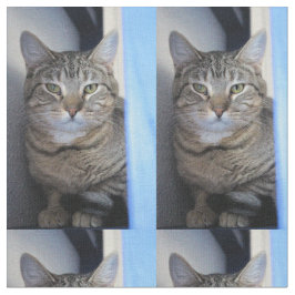 Katze Stoff