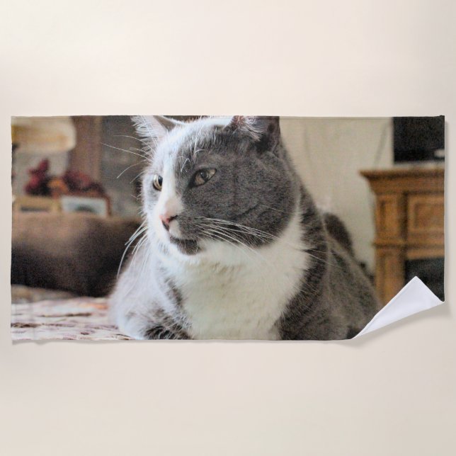 Katze Strandtuch (Vorderseite)
