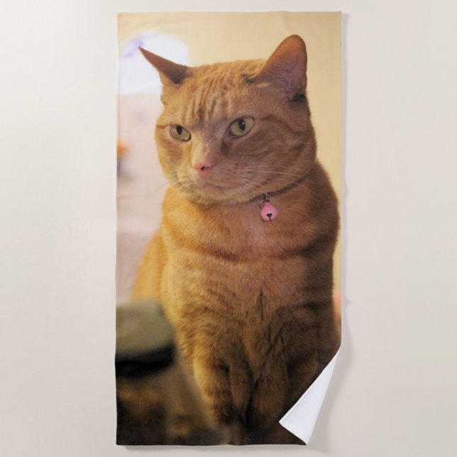 Katze Strandtuch (Vorderseite)