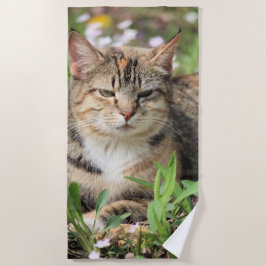 Katze Strandtuch