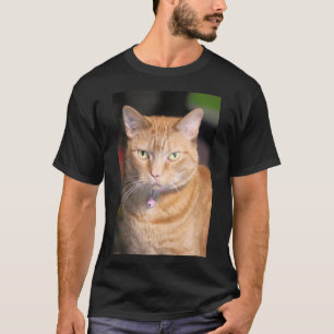 Katze T-Shirt