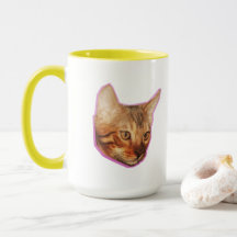 Katze