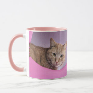 Katze Tasse