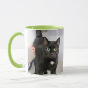 Katze Tasse