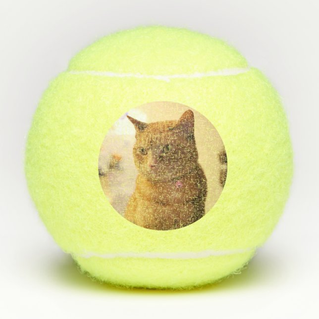Katze Tennisbälle (Vorderseite)