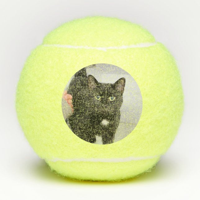 Katze Tennisbälle (Vorderseite)