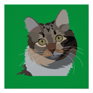 Katze Tier Haustier Katzenliebhaber  Poster