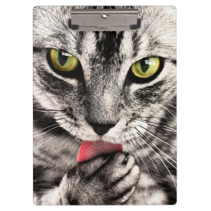 Katze Tierportrait-68667 Klemmbrett