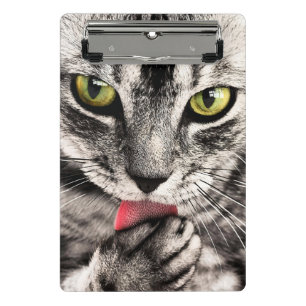 Katze Tierportrait-68667 Mini Klemmbrett
