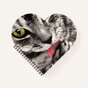 Katze Tierportrait-68667 Notizbuch