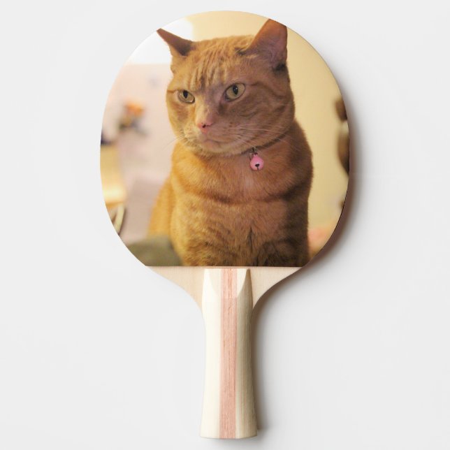 Katze Tischtennis Schläger (Vorderseite)