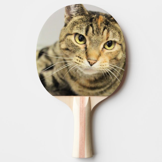 Katze Tischtennis Schläger (Vorderseite)
