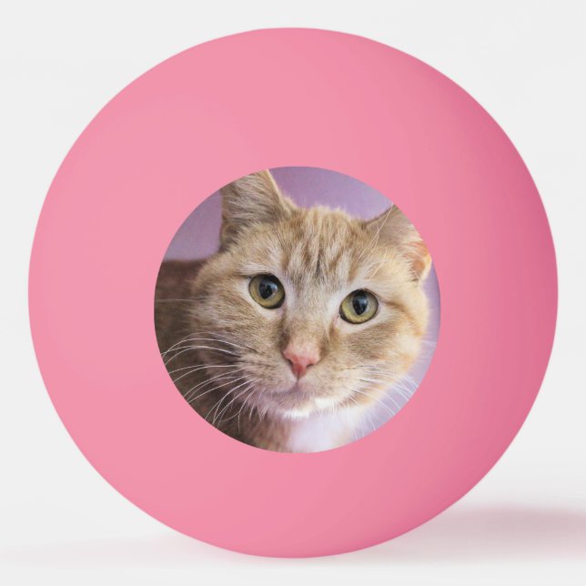 Katze Tischtennisball (Vorderseite)