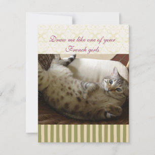 Katze Titanic Quote Brocade Strip Notecard