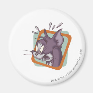 Katze Toms Scaredy Magnet
