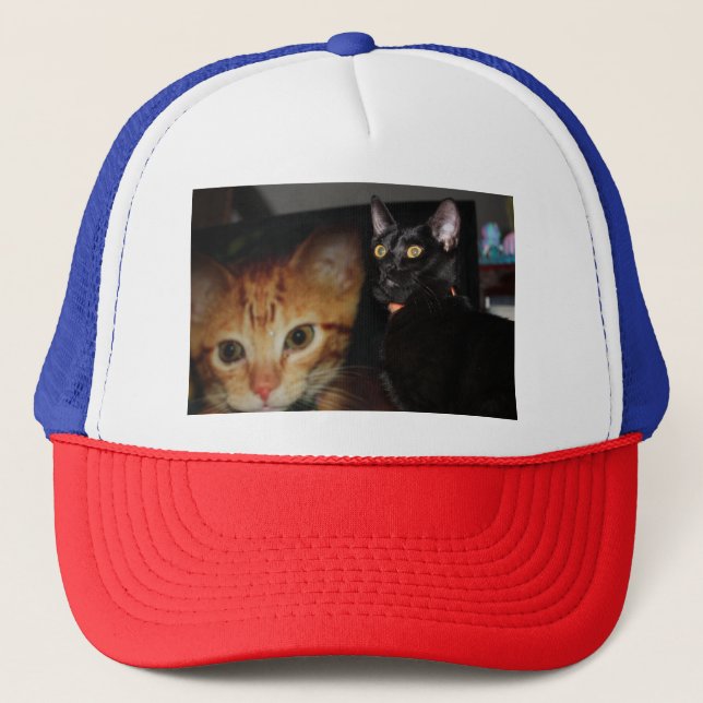 Katze Truckerkappe (Vorderseite)