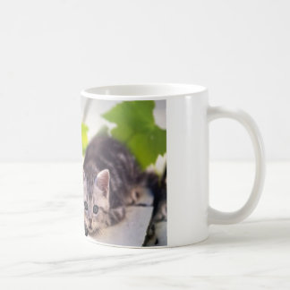 Katze u. Häschen-beste Freund-Tasse Kaffeetasse