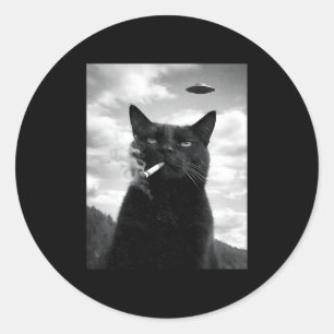 Katze Ufo Meme Selfie Alien Runder Aufkleber