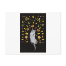 KATZE UND BLÄTTER FOTOGRAFISCHE POSTKARTE