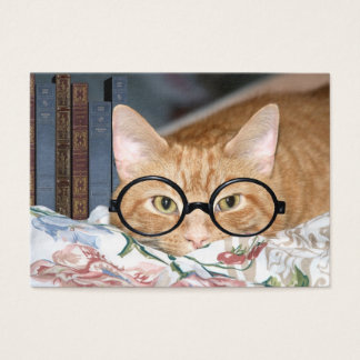 Katze und Bücher ACEO