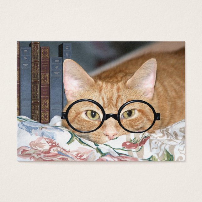 Katze und Bücher ACEO (Vorderseite)