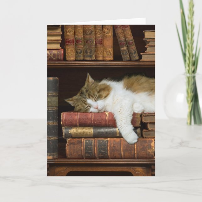 Katze und Bücher Karte (Vorderseite)