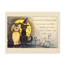 Katze und Eule im Vintagen Halloween Postkarte