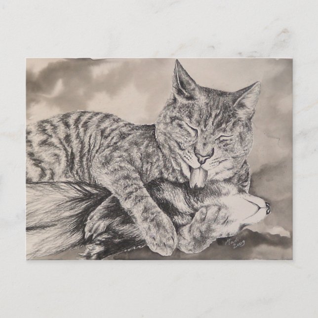 Katze und Freret Postkarte (Vorderseite)