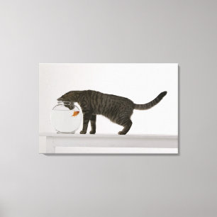 Katze und Goldfisch Leinwanddruck
