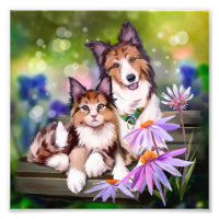 Katze und Hund auf einer Bank sitzen