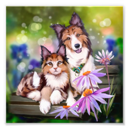 Katze und Hund auf einer Bank sitzen Fotodruck