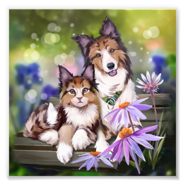Katze und Hund auf einer Bank sitzen Fotodruck (Vorne)