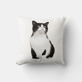 Katze und Hund, Haustier-Kissen 16" x 16" Kissen