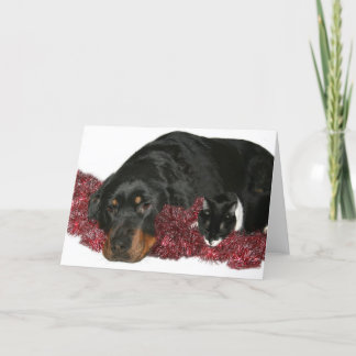 Katze und Hund Weihnachten