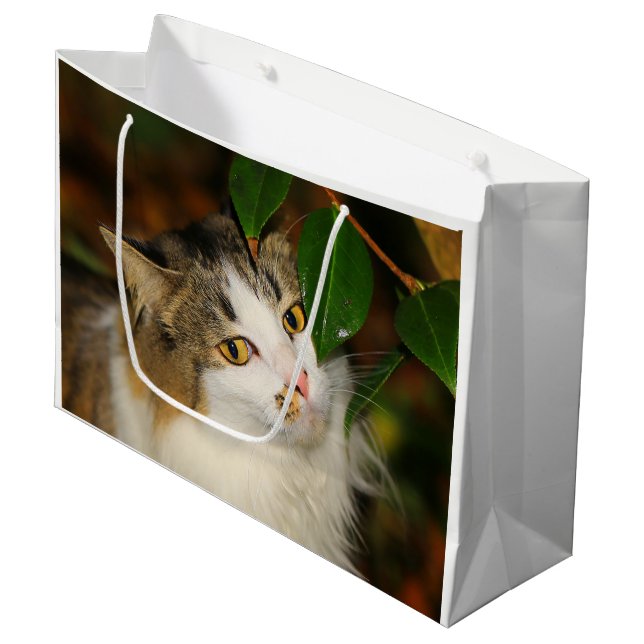 Katze und Kamelien Große Geschenktüte (Vorderseite Schrägansicht)