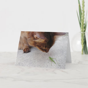 Katze und Katydid Freundschafts-Karte Karte
