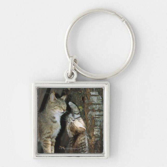 Katze und Kätzchen durch Baum Schlüsselanhänger (Vorne)