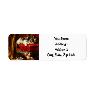 Katze und Kätzchen spielen mit Stuhl