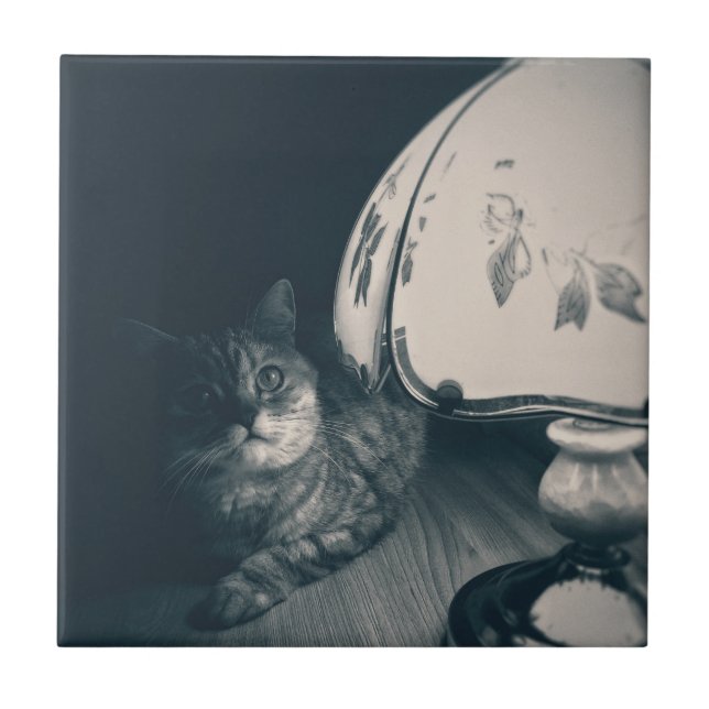 Katze- und Lampennoir-Style-Fotografie Fliese (Vorderseite)