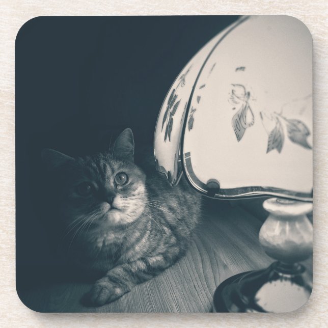 Katze- und Lampennoir-Style-Fotografie Getränkeuntersetzer (Vorderseite)