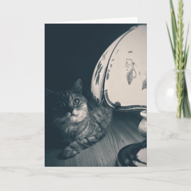 Katze- und Lampennoir-Style-Fotografie Karte (Vorderseite)