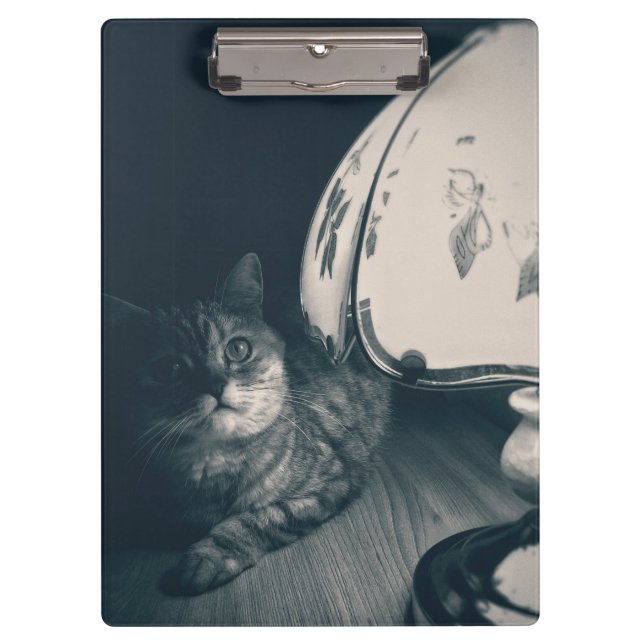 Katze- und Lampennoir-Style-Fotografie Klemmbrett (Vorderseite)