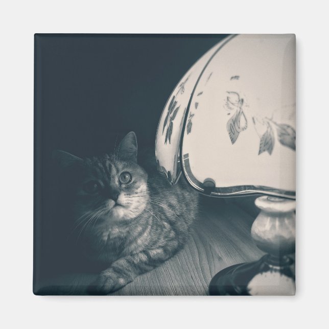 Katze- und Lampennoir-Style-Fotografie Magnet (Vorne)