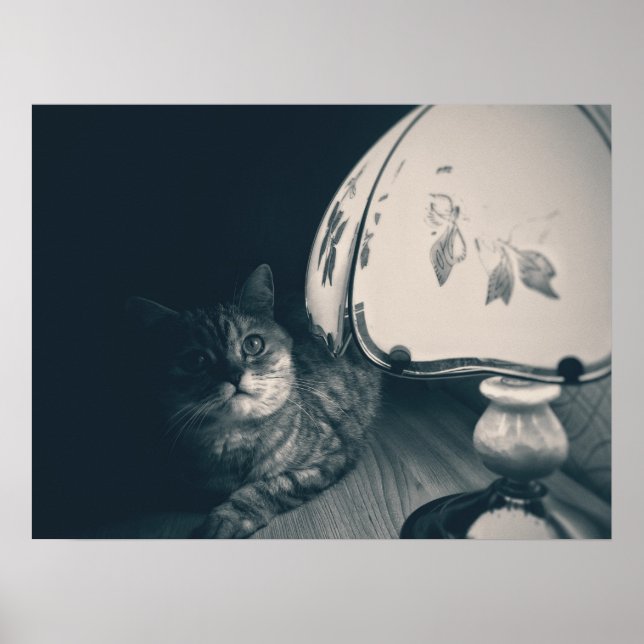 Katze- und Lampennoir-Style-Fotografie Poster (Vorne)