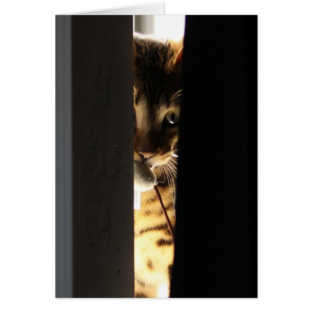 Katze und Maus (Vorne)