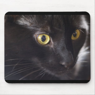 Katze und Maus Mousepad