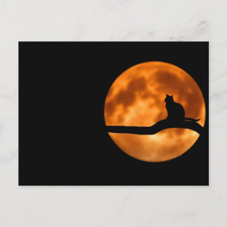 Katze und Mond Postkarte