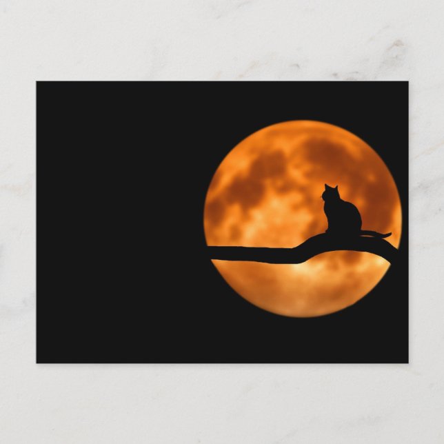 Katze und Mond Postkarte (Vorderseite)