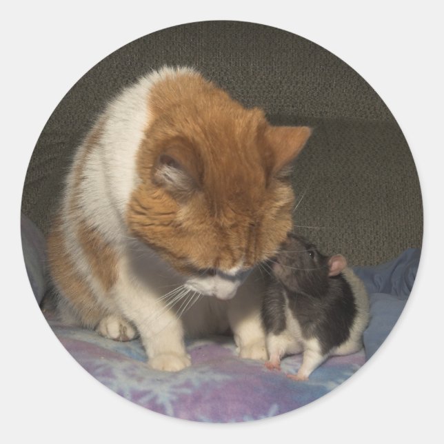 Katze und Ratte Runder Aufkleber (Vorderseite)