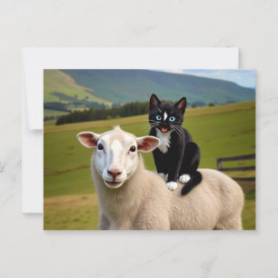 Katze und Schafe - Felinis Landtour Postkarte